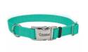 Large - 1-Inch X 18-Inch-26-Inch Teal Coastal Adjustable Dog Collar With Metal Buckle